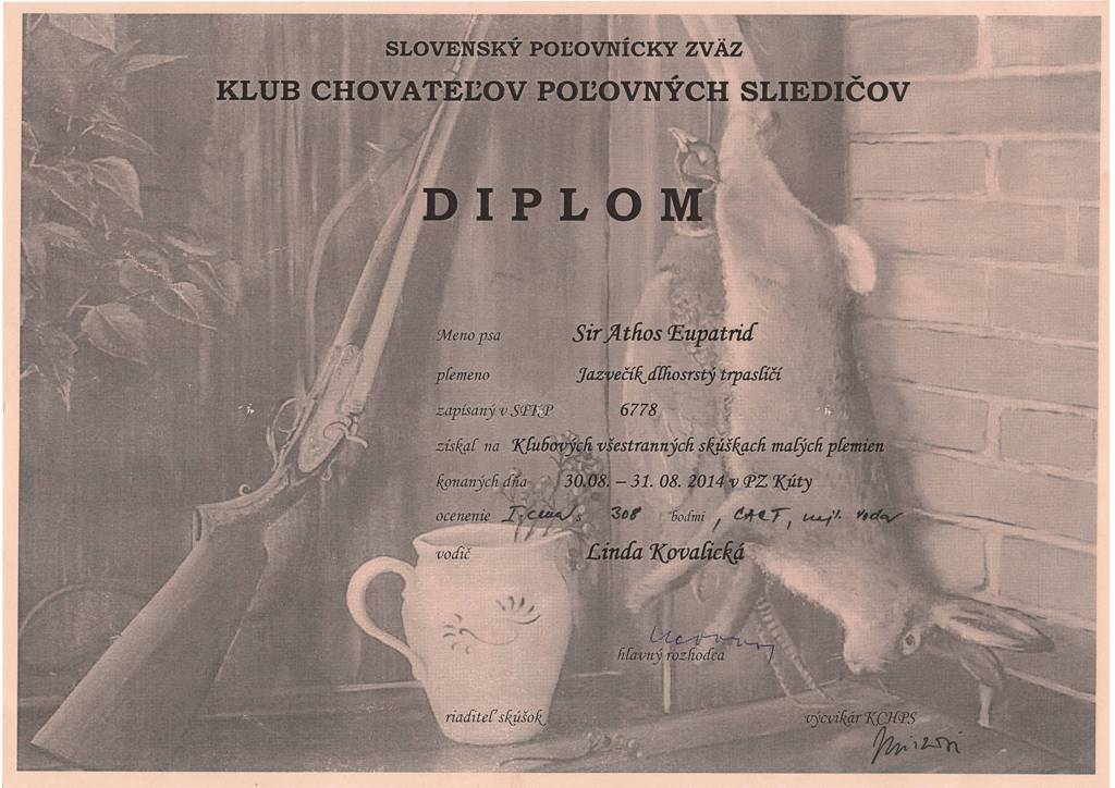 diplom1