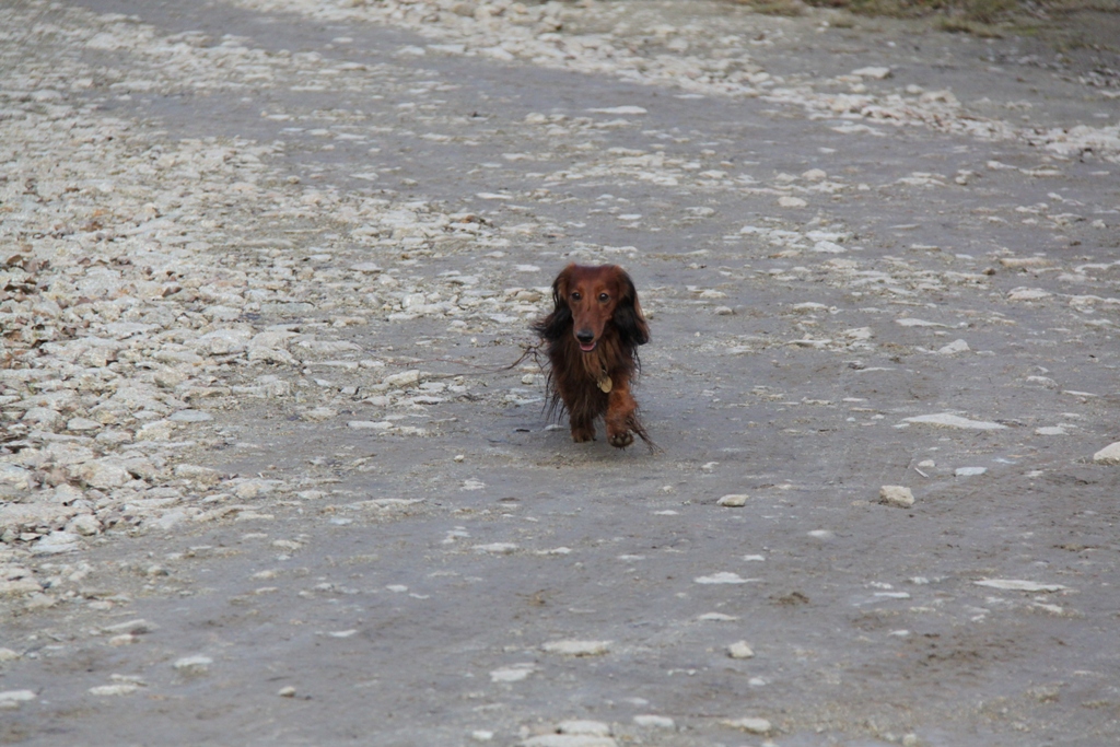 IMG_2864