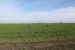 IMG_7861