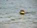 12 06 11_1210.jpg